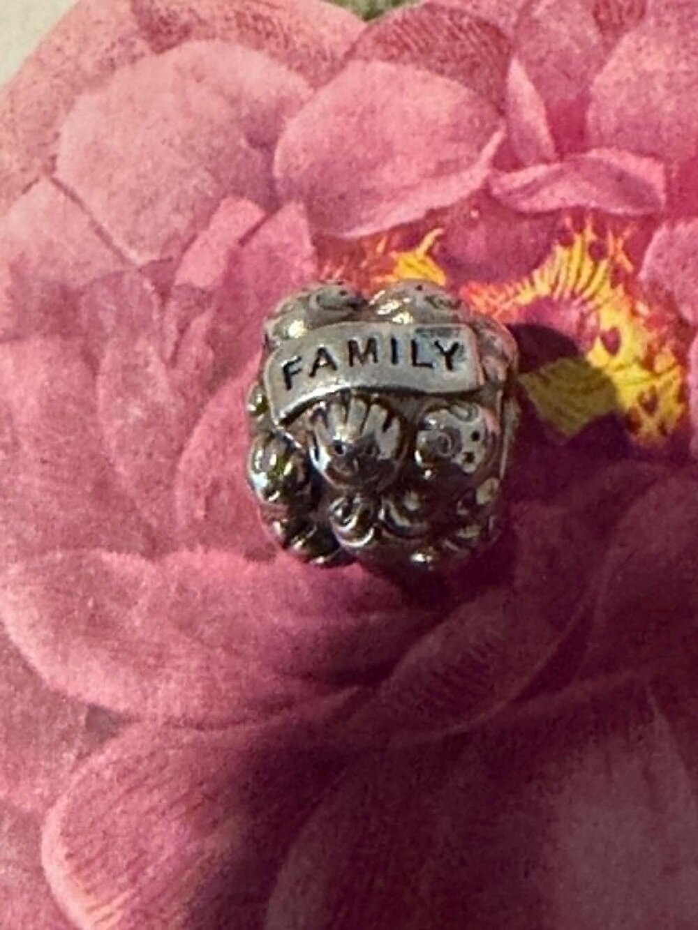 Authentic Pandora Love & Family Charm  #791039